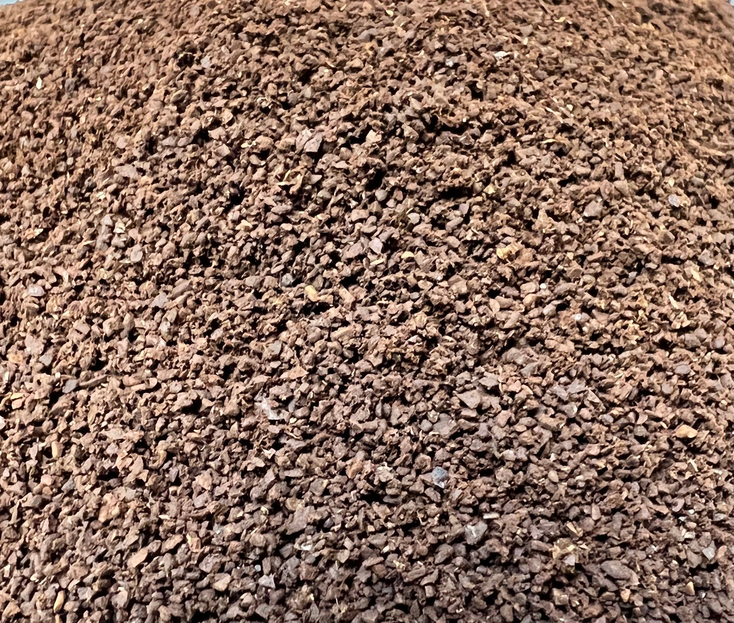 Kenya AA  Calusa Coffee Roasters